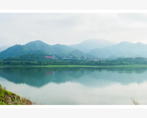 补肝血的好药：中医传统疗法探秘