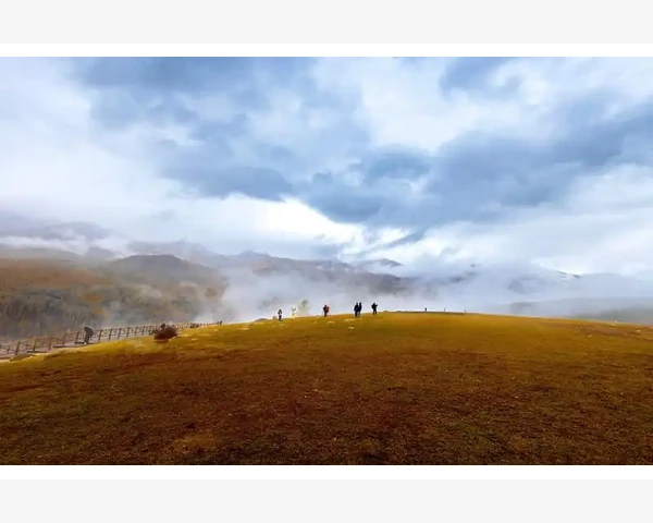 中药温中驱寒药：古老智慧的中医瑰宝