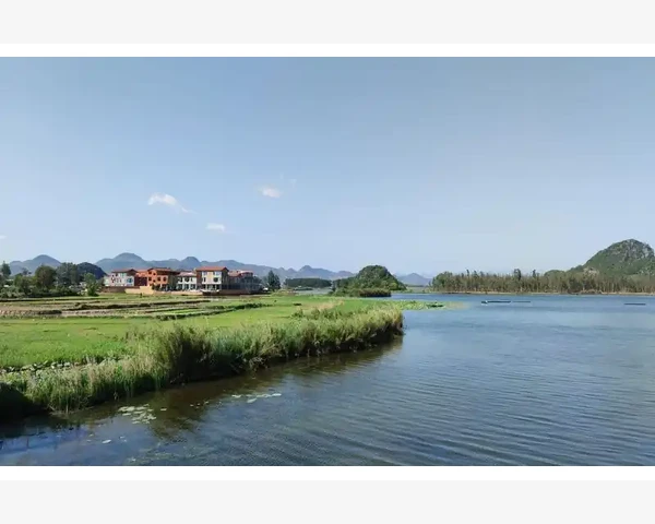 补肝血用什么中成药较好：中医科普